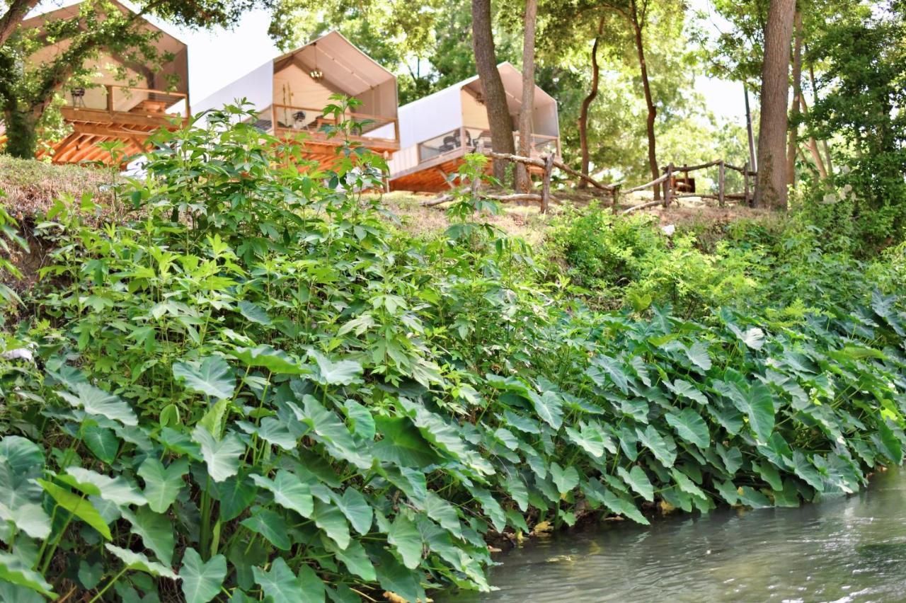 Son'S Rio Cibolo Birdhouse Cabin #10 Romantic Water Front Cabins Surrounded By Nature! Marion Esterno foto