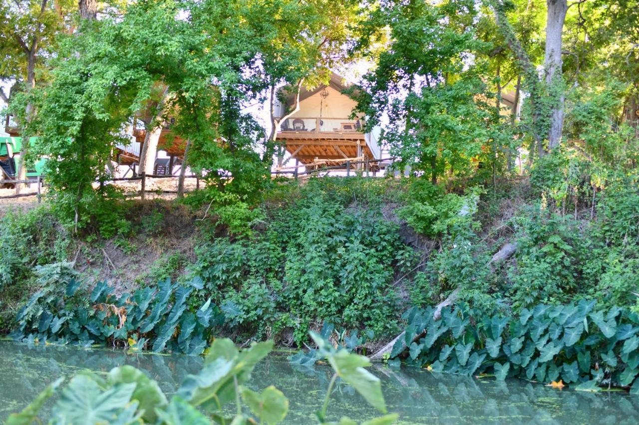 Son'S Rio Cibolo Birdhouse Cabin #10 Romantic Water Front Cabins Surrounded By Nature! Marion Esterno foto